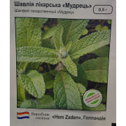 Шавіля лікарська "Мудрець"