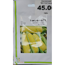 Айова-Нова F1 10 г