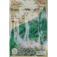 Кмин звичайний 