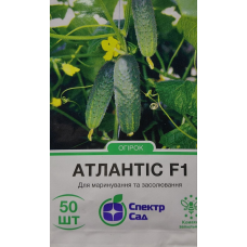 Огірок Атлантік F1 20 шт