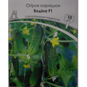 Огірок Бодіна F1 10 шт