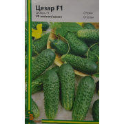 Огірок Цезар F1 20 шт