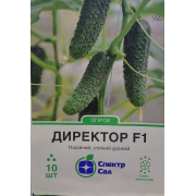 Огірок Директор F1 10 шт