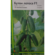 Огірок Бутон лотоса F1 15 шт 