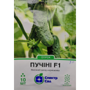 Огірок Пучіні 10 шт 