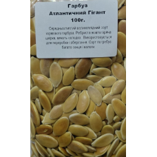 Гарбуз Атлантичний Гігант 100 г 