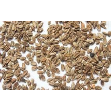 Морква Зимова 30 г